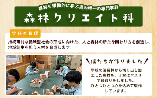 「木頭杉の積み木セット」徳島県立那賀高等学校 森林クリエイト科制作【徳島県 徳島 那賀町 高校生制作 積木 積み木 知育 木育 玩具 おもちゃ 知育玩具 木の積み木 幼児 教育 木頭杉 杉 天然木 木製 無塗装 国産 手作り】 NK-01