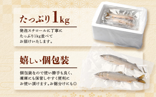 【予約受付】冷凍天然鮎（小サイズ）1kg入 KG-2