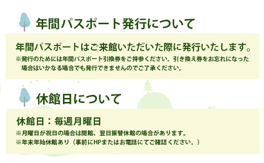 【1年間パスポート】那賀町山のおもちゃ美術館【大人1名（高校生以上）】 CA-1