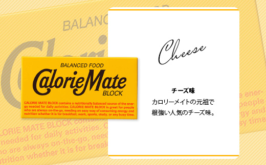 【6回定期便】≪チーズ味≫ カロリーメイトブロック 2本入り 計20箱 ×6回 合計120箱【徳島 那賀 大塚製薬 カロリーメイト チーズ ビタミン ミネラル たんぱく質 脂質 糖質 5大栄養素 バランス栄養食 栄養補給 仕事 勉強 スポーツ 防災 災害 地震 非常食 常備食 備蓄 受験 受験応援 新生活】MS-5-6-cheese