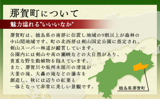 【返礼品なしの寄附】徳島県那賀町 1口：100,000円  【NY-6】