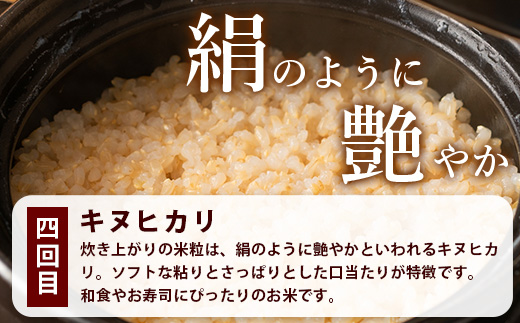 定期便4回 那賀町のお米（玄米）バラエティ食べ比べ定期便