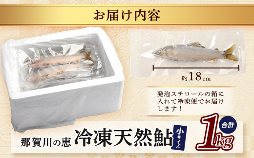 【予約受付】冷凍天然鮎（小サイズ）1kg入 KG-2