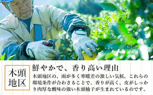 【10月末頃より随時発送】栽培期間中農薬・化学肥料不使用栽培の木頭柚子（黄玉）5kg OM-5