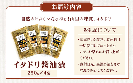 木沢特産 ふるさとの味 イタドリ醤油漬 250g×4袋【徳島県 那賀町 国産 いたどり イタドリ 醤油漬 漬物 漬け物 加工品 山菜 味付き ごはんのおとも ご飯のお供 惣菜 おかず 副菜 小鉢 調味済み おつまみ お酒の肴 時短 お土産 お取り寄せ】MO-7