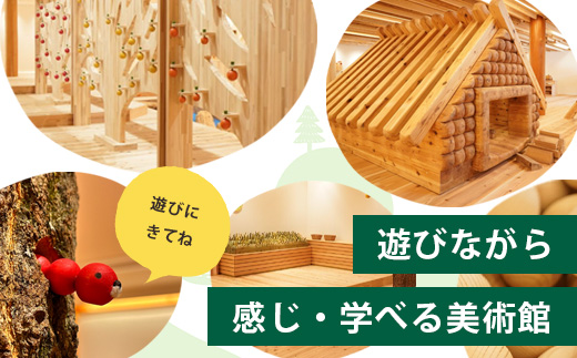 【入館券】那賀町山のおもちゃ美術館【大人1名（高校生以上）・子供１名（小学生〜中学生）】 CA-6