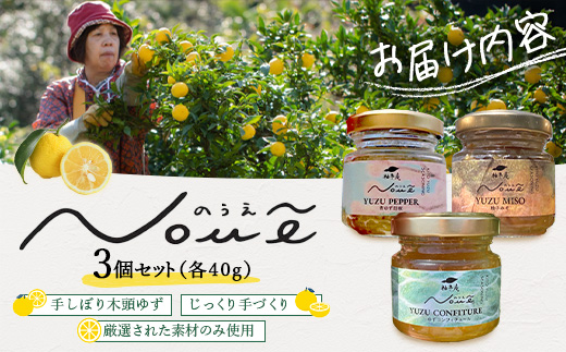 NOUE 3åã»ãã å40g(éããè¡æ€ã»ããã³ã³ãã£ãã¥ãŒã«ã»æåã¿ã)ã埳島ç é£è³çº æšé ãã æå ãŠãº æšé æå æç© åœç£ 100ïŒ
èª¿å³æ æåè¡æ€ ããè¡æ€ ããã¿ã æåå³å ãžã£ã ãããžã£ã ç¶è©°ã ææ± ã®ãã ãã¬ãŒã³ã ãåãå¯ã æå¬åºµãYA-80