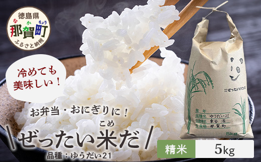 令和6年産 新米 徳島県那賀町産 ぜったい米(こめ)だ 5kg ゆうだい21【徳島 那賀町 国産 米 お米 白米 精米 5キロ 徳島県産 国産米 高級米 単一原料米 おいしい 冷めても美味しい お弁当 おにぎり 遠足 ピクニック 贈物 プレゼント お歳暮 ギフト 産地直送】ZP-4