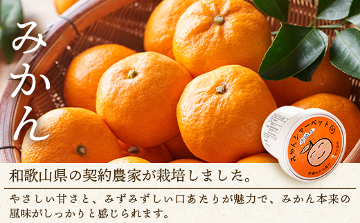 シャーベット 3種 計14個セット (ゆず・みかん・やまもも)【徳島 那賀町 木頭ゆず 木頭ユズ 木頭柚子 みかん ミカン やまもも ヤマモモ スイーツ デザート シャーベット 氷菓 アイス 氷菓子 果汁 無添加 国産 寒天 詰め合わせ 食べ比べ ギフト 贈り物 お取り寄せ グルメ お土産 冷凍】KM-3
