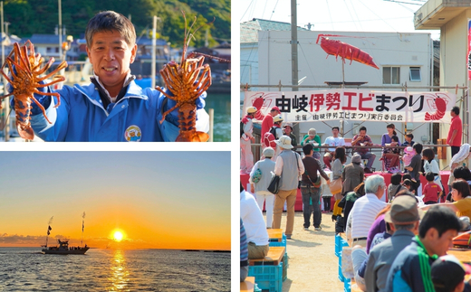 【春期50セット限定】水産庁長官賞受賞！日和佐町漁協直送「天然活伊勢えび」たっぷり1kg（3～5尾）【４月中に獲れ次第発送分】伊勢海老 伊勢えび イセエビ 海老 天然 活 訳あり 1kg 徳島県 美波町 日和佐 産地直送 魚介類 海鮮 数量限定 期間限定 先行予約 お歳暮 お正月 お祝い