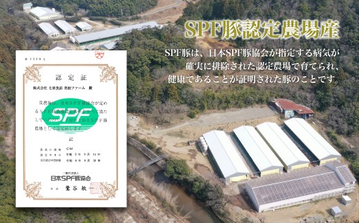 譛ャ豌苓ア壻スソ逕ィ 繝上Φ繝舌シ繧ーシ伜句・