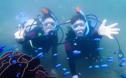 徳島・日和佐NAUIスクーバダイバー認定コース（資格取得コース）3日間講習