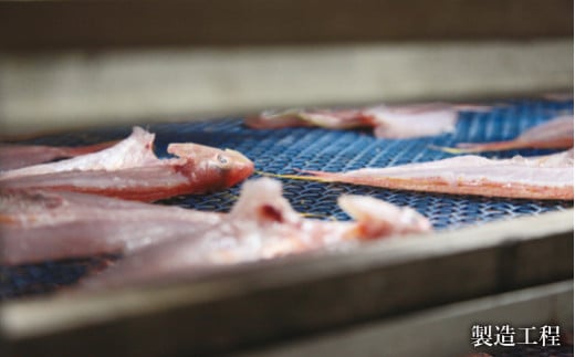 貂ッ逶エ騾シ√ッ縺セ縺ソ繧豬キ逕」縲鄒取ウ「縺ョ迚ケ驕ク蟷イ迚ゥ繧サ繝繝