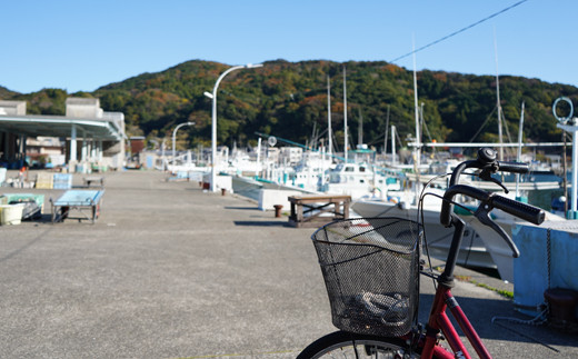 貂ッ逶エ騾シ√ッ縺セ縺ソ繧豬キ逕」縲鄒取ウ「縺ョ迚ケ驕ク蟷イ迚ゥ繧サ繝繝