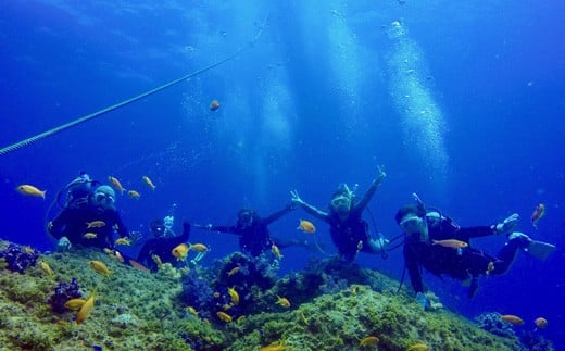 徳島・日和佐ダイナミック2ボードダイビング（ダイバーコース）