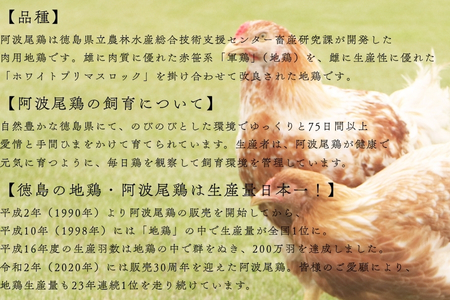 AWAODORILAB３種９食　 ガパオ３食　バターチキンカレー３食　 ごちそうカレー ３食　 常温 レトルト