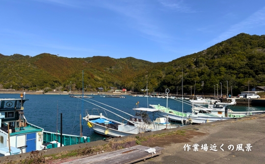 海と森の恵みを結ぶ天然クラフト塩「美波御塩」〜自然循環型・薪火平釜製法〜徳島県 美波町 四国 海塩 天然塩 クラフト塩 粗塩 調味料 無添加 ミネラル 平釜 薪火 地下海水 ウミガメ ネイチャーポジティブ サステナブル エコ 環境保全 手作り おにぎり 天ぷら ステーキ 焼肉 塩焼き バーベキュー キャンプ飯 ギフト 贈り物 お取り寄せ ご当地