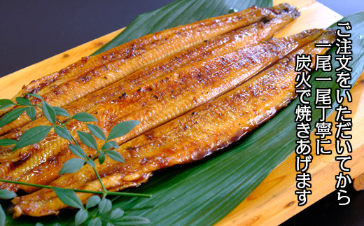 蠕ウ蟲カ逵檎肇縲縺縺ェ縺手調辟シ縲縺薙□繧上j縺ョ轤ュ轣ォ辟シ縲螟ァ縺阪a5蟆セシ170ステ5蟆セシ