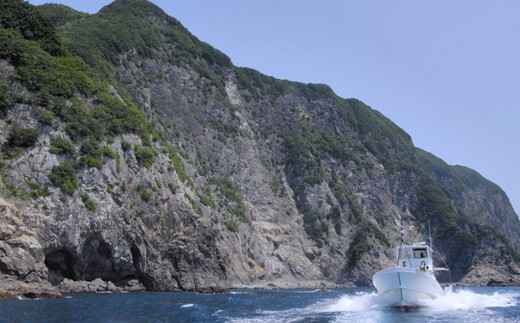 絶景千羽海崖を海から！うみがめマリンクルーズご招待4名様
