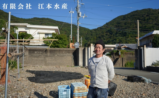 漁師たつ兄のタコの沖漬け２本