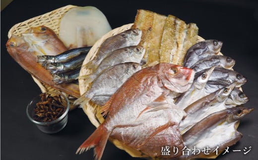 貂ッ逶エ騾シ√ッ縺セ縺ソ繧豬キ逕」縲鄒取ウ「縺ョ迚ケ驕ク蟷イ迚ゥ繧サ繝繝