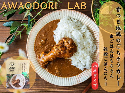阿波尾鶏骨つき地鶏のごちそうカレー10食