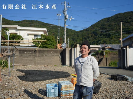 漁師たつ兄の沖漬けセット