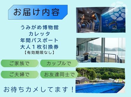 日和佐うみがめ博物館カレッタ  入館年間パス【大人1名分】