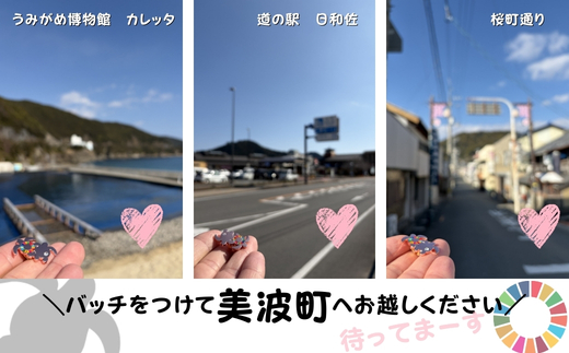 【町制20周年記念】未来へつなぐ「子ガメの帰郷」ピンバッジ ～上品なピンクゴールド仕様～