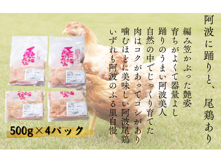 髦ソ豕「蟆セ鮓上b繧りi繧サ繝繝茨シ茨シ偵く繝ュシ