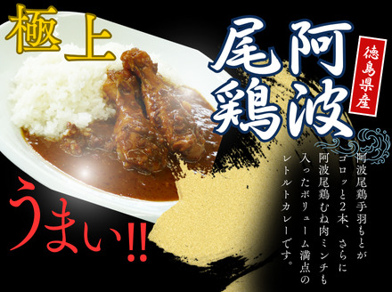 阿波尾鶏骨付地鶏カレー（箱入り）10食