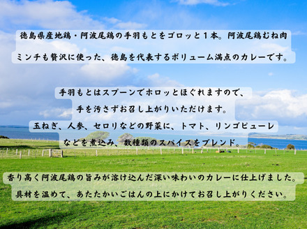 阿波尾鶏骨つき地鶏のごちそうカレー30食