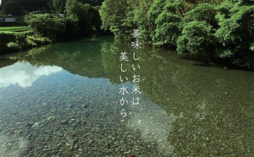 源流の郷　赤松のお米　新米9月発送「赤松大田楽奉納米」コシヒカリ玄米30キロ