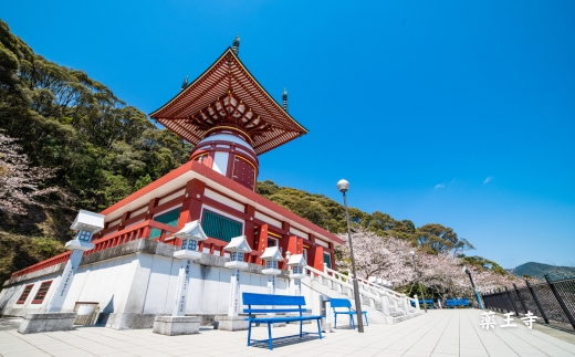 縲仙屁蝗ス髴雁エ隨ャ23逡ェ譛ュ謇繝サ阮ャ邇句ッコ縺ォ縺ヲ蠕。逾育・キ縲大私髯、縺代ョ縺セ縺。繝サ鄒取ウ「逕コ縺ョ螟ゥ辟カ蝪ゥ縲後d縺上h縺大。ゥ縲阪蠕ウ蟲カ逵 鄒取ウ「逕コ 蝗帛嵜 阮ャ邇句ッコ 螟ァ豬懈オキ蟯ク 蝪ゥ 螟ゥ辟カ蝪ゥ 豬キ蝪ゥ 繧ッ繝ゥ繝輔ヨ蝪ゥ 隱ソ蜻ウ譁 邊怜。ゥ 蜴髯、縺 蜴蟷エ 蠕。逾育・キ 邵∬オキ迚ゥ 縺頑ク繧 逶帙j蝪ゥ 縺雁ョ医j 縺企″霍ッ 辟。豺サ蜉 繝溘ロ繝ゥ繝ォ 蟷ウ驥 阮ェ轣ォ 蝗ス逕」 繧ヲ繝溘ぎ繝。 縺翫↓縺弱j 縺雁シ∝ス 繧ョ繝輔ヨ 雍医j迚ゥ 蟶ク貂ゥ菫晏ュ