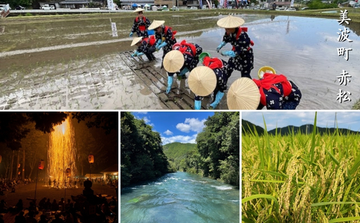 美波町産もち麦セット（もち麦500g×2、はったい粉200ｇ×2、もち麦粉500ｇ×1）