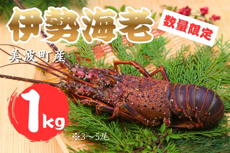 【春期50セット限定】水産庁長官賞受賞！日和佐町漁協直送「天然活伊勢えび」たっぷり1kg（3～5尾）【４月中に獲れ次第発送分】伊勢海老 伊勢えび イセエビ 海老 天然 活 訳あり 1kg 徳島県 美波町 日和佐 産地直送 魚介類 海鮮 数量限定 期間限定 先行予約 お歳暮 お正月 お祝い
