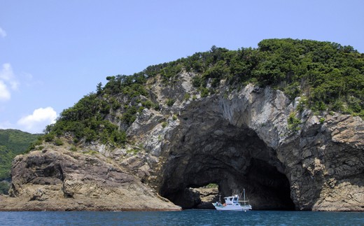 絶景千羽海崖を海から！うみがめマリンクルーズご招待4名様