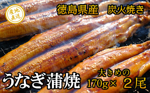 蠕ウ蟲カ逵檎肇縲縺縺ェ縺手調辟シ縲縺薙□繧上j縺ョ轤ュ轣ォ辟シ縲螟ァ縺阪a2蟆セシ170ステ2蟆セシ