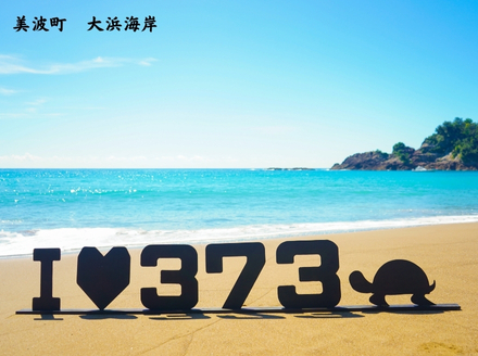 チョコレートロールケーキ「ルラージ」