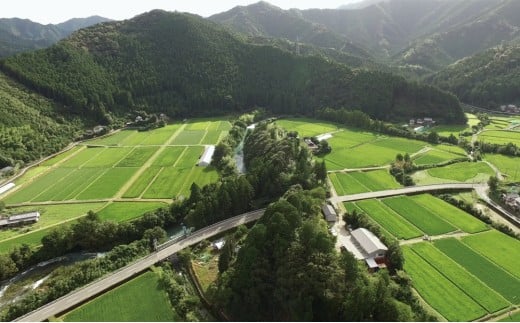 源流の郷　赤松のお米　新米9月発送「赤松大田楽奉納米」コシヒカリ玄米30キロ