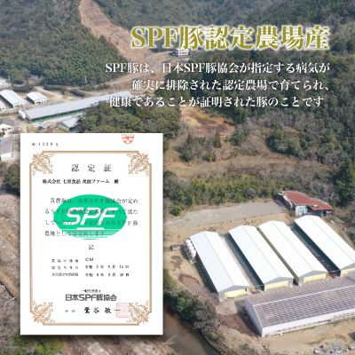 譛ャ豌苓ア壹ワ繝ウ繝舌シ繧ー繝サ邊励ウ縺阪え繧」繝ウ繝翫シ繧サ繝繝