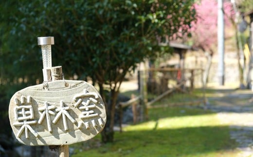 縲仙キ」譫礼ェッ縲代さ繝シ繝偵シ繝峨Μ繝繝代シシ繝昴ャ繝茨シ懊Ζ繧キ縺ョ譛ィシ