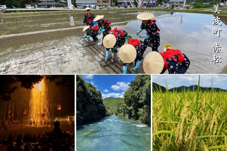 源流の郷　赤松のお米　新米9月発送「赤松大田楽奉納米」コシヒカリ玄米30キロ