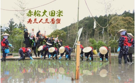 源流の郷　赤松のお米　新米9月発送「赤松大田楽奉納米」コシヒカリ玄米30キロ