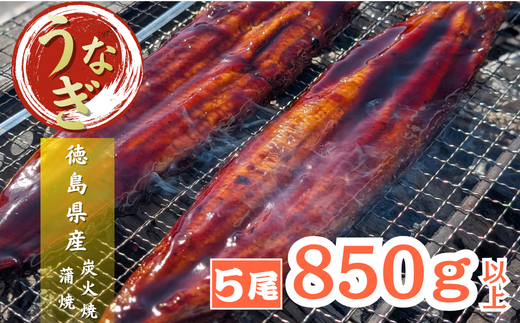【徳島県産】美波町の森が育んだ「樵木（こりき）備長炭」で焼き上げる。外はパリッ、中はふっくら。職人手焼きの極上うなぎ（大きめ5尾）ふるさと納税 うなぎ 鰻 蒲焼 国産 徳島県 美波町 炭火焼 備長炭 手焼き 大きめ 高級 絶品 お取り寄せ ギフト 土用の丑 SDGs サステナブル 環境保全 伝統　ウナギ