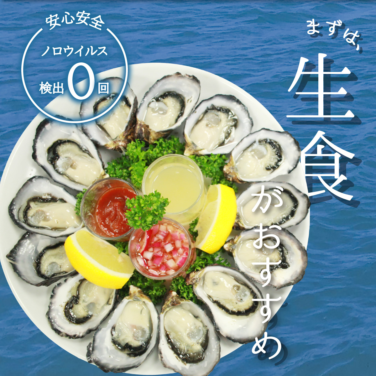 【あまべ牡蠣 10個 6ヶ月連続定期便】あまべ牡蠣 10個 6ヶ月定期便 60個 牡蠣 シングルシード 生食用 殻付き かき カキ オイスター 生ガキ 生牡蠣 生がき 生かき ギフト 貝 旨味