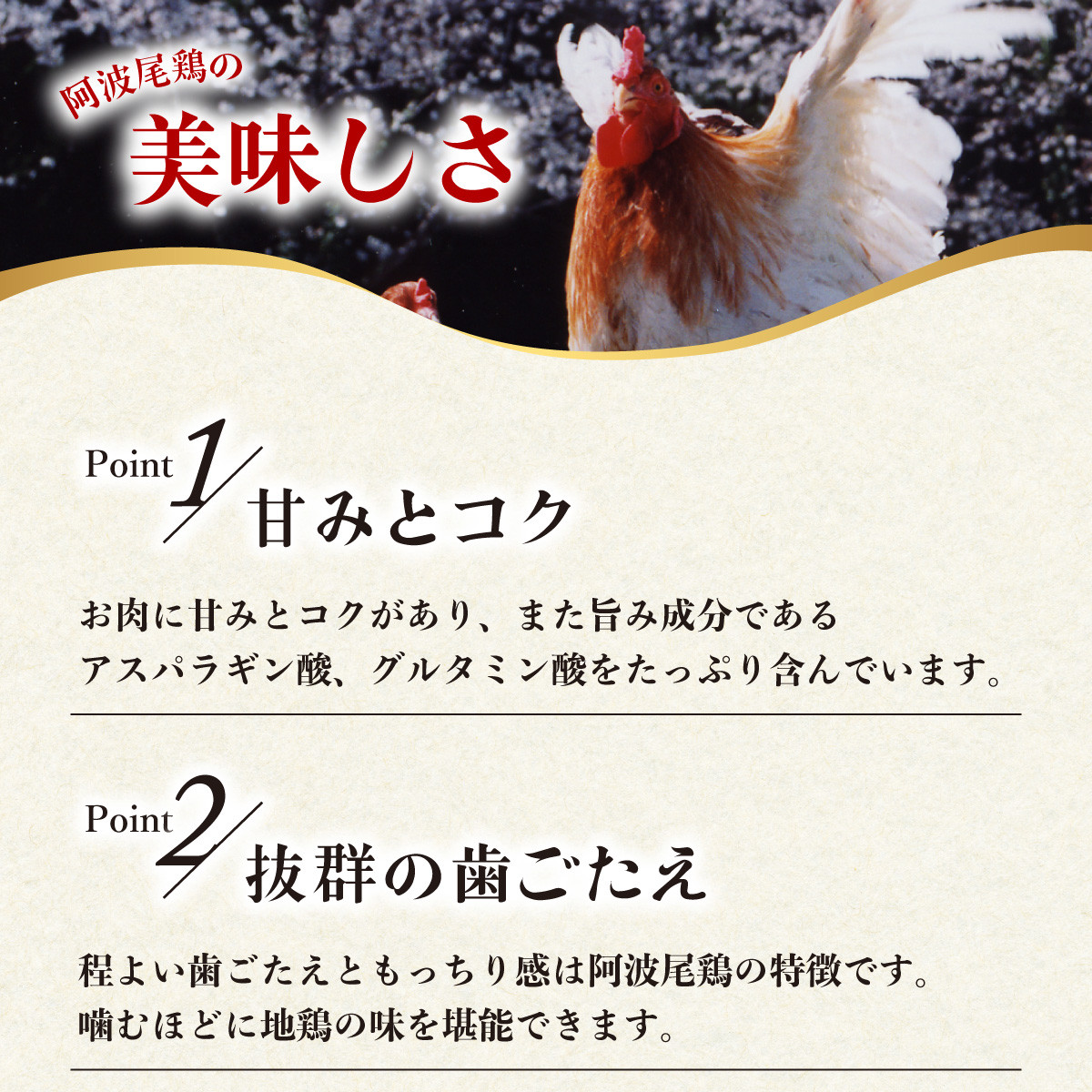 阿波尾鶏 炭火焼 100g×6P 鶏肉 地鶏 冷蔵
