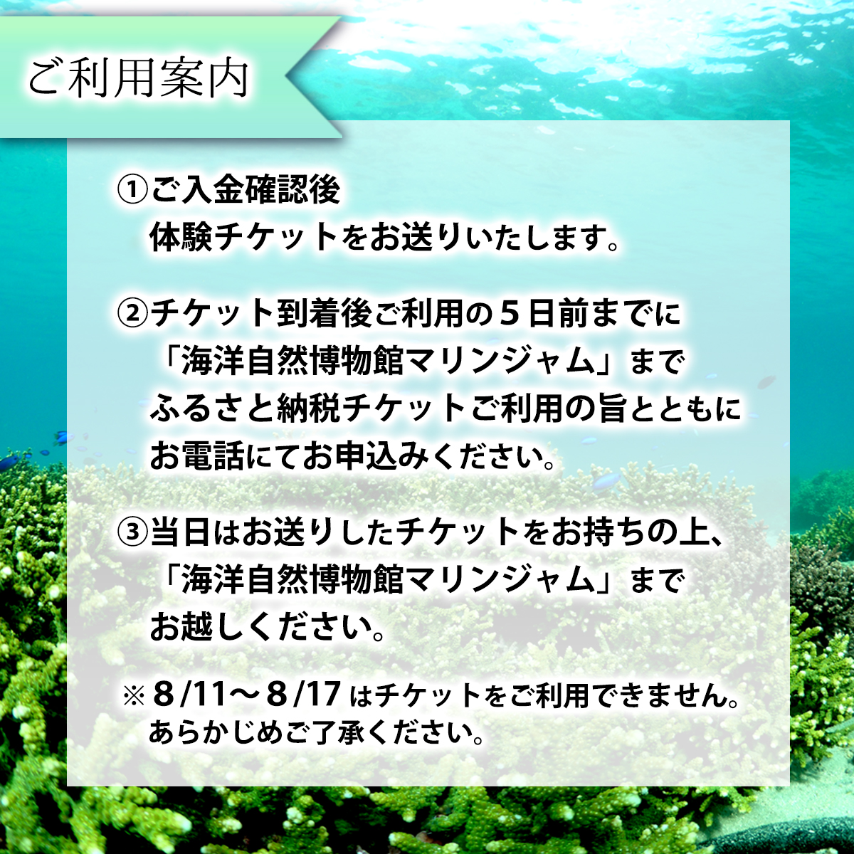 海中観光船 ブルーマリン号 乗船券 大人 2名様 グラスボート レジャー マリンジャム 竹ヶ島 竹ケ島 四国 徳島 徳島県 海陽 海陽町