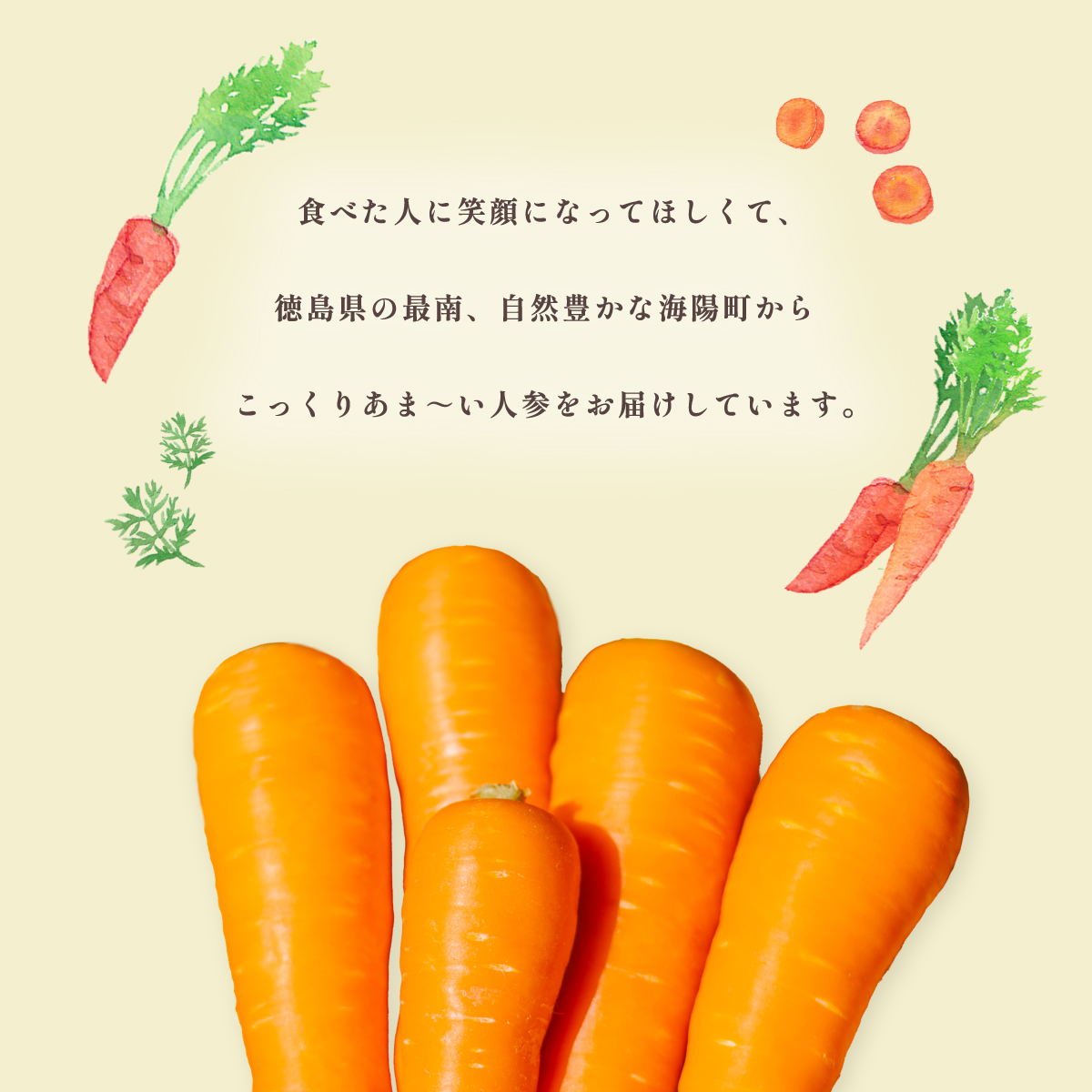 濃紅みつキャロット 2kg 無選別 にんじん ニンジン 人参