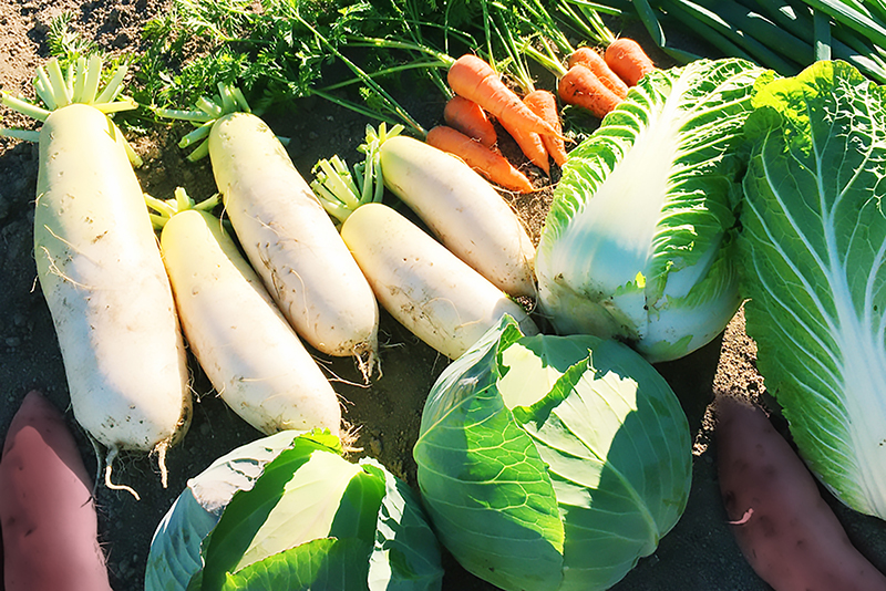 譌ャ縺ョ縺企手除隧ー繧∝粋繧上○ 蟄」遽縺ョ縺企手除 縺企手除縺繧阪>繧 繧サ繝繝